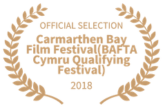 Carmarthen Bay Film Festival2018 copy